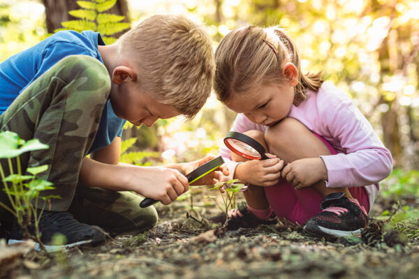 Natur Garten Kinder Barlsheide